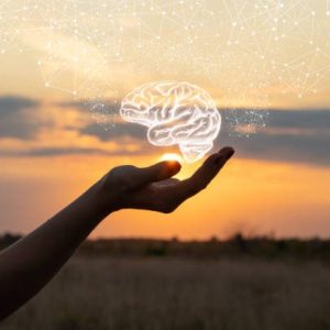 Hand shows the brain in the sun and sky. Hand shows the brain in the sun and sky.